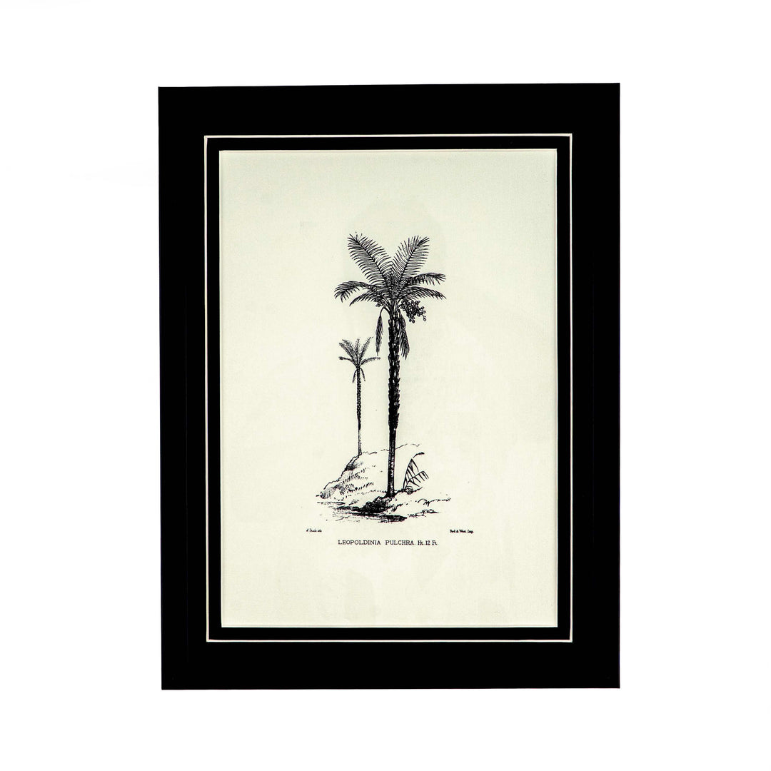 Tropical Print - Leopoldinia Pulchra Frame