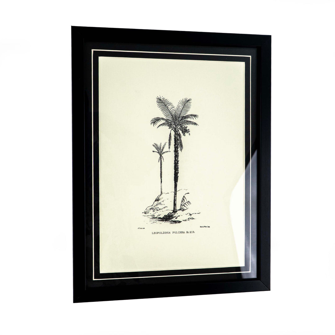 Tropical Print - Leopoldinia Pulchra Frame