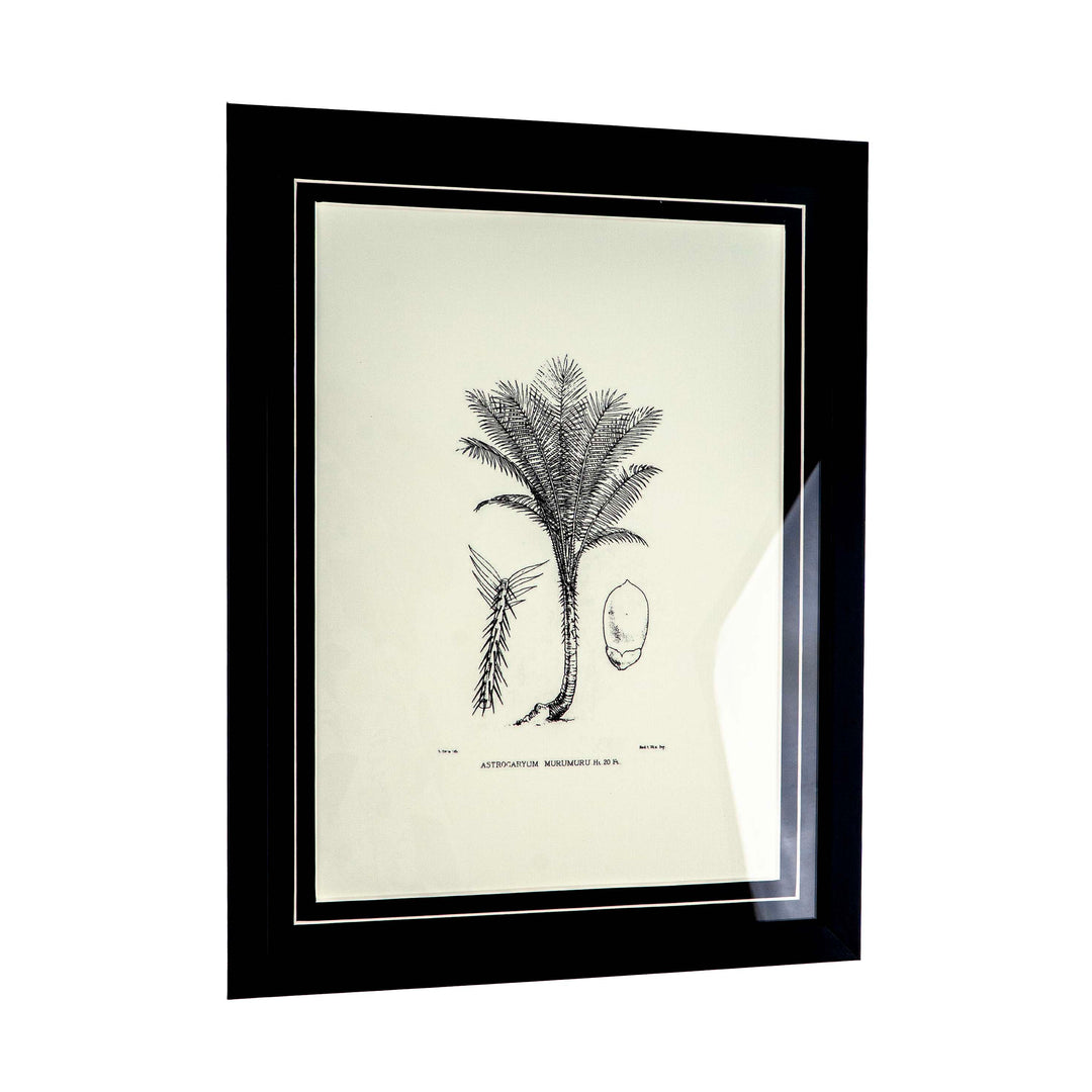 Tropical Print- Astrocaryum Murumuru Frame