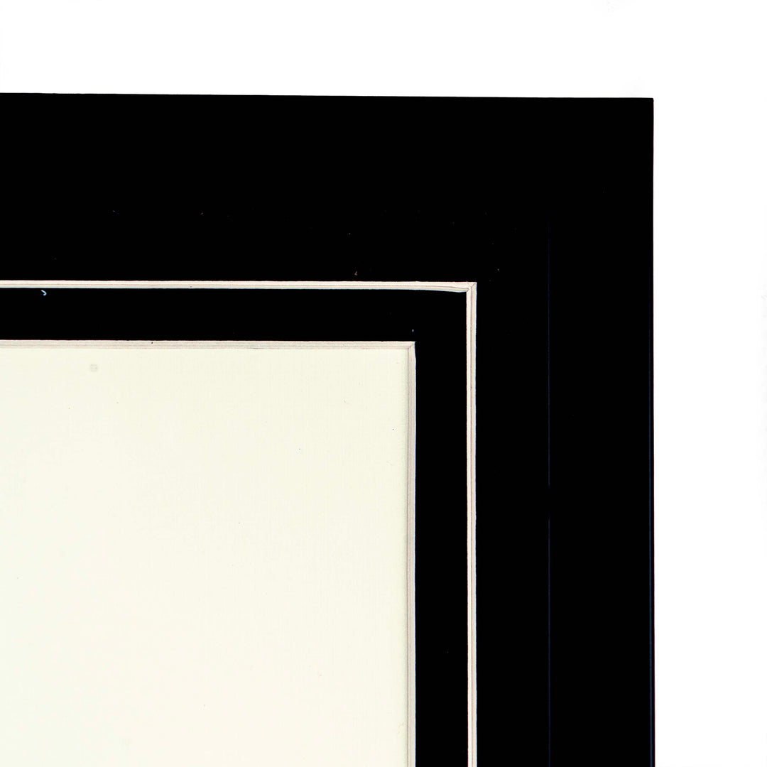 Tropical Print- Astrocaryum Murumuru Frame