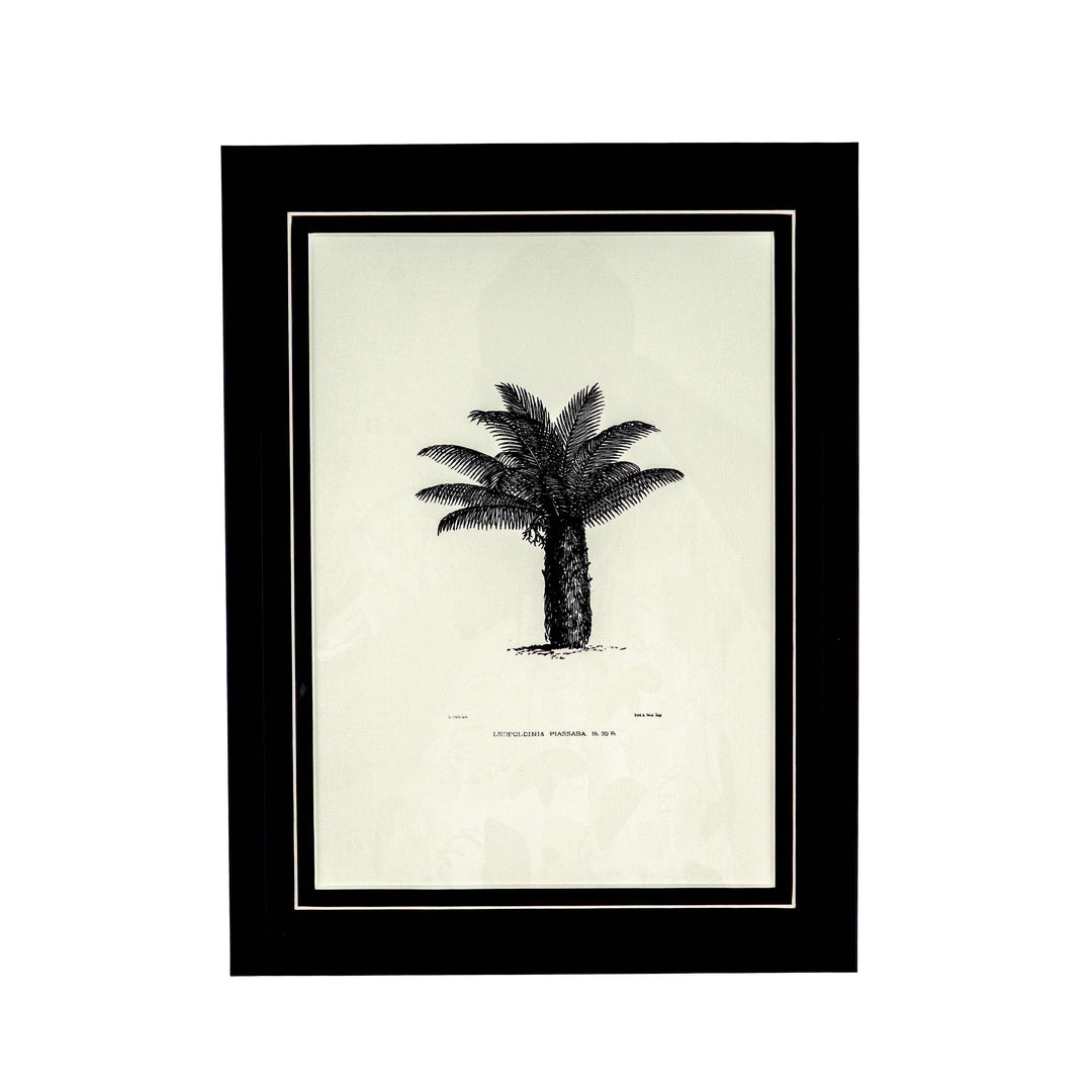 Tropical Print- Leopoldinia piassaba Frame