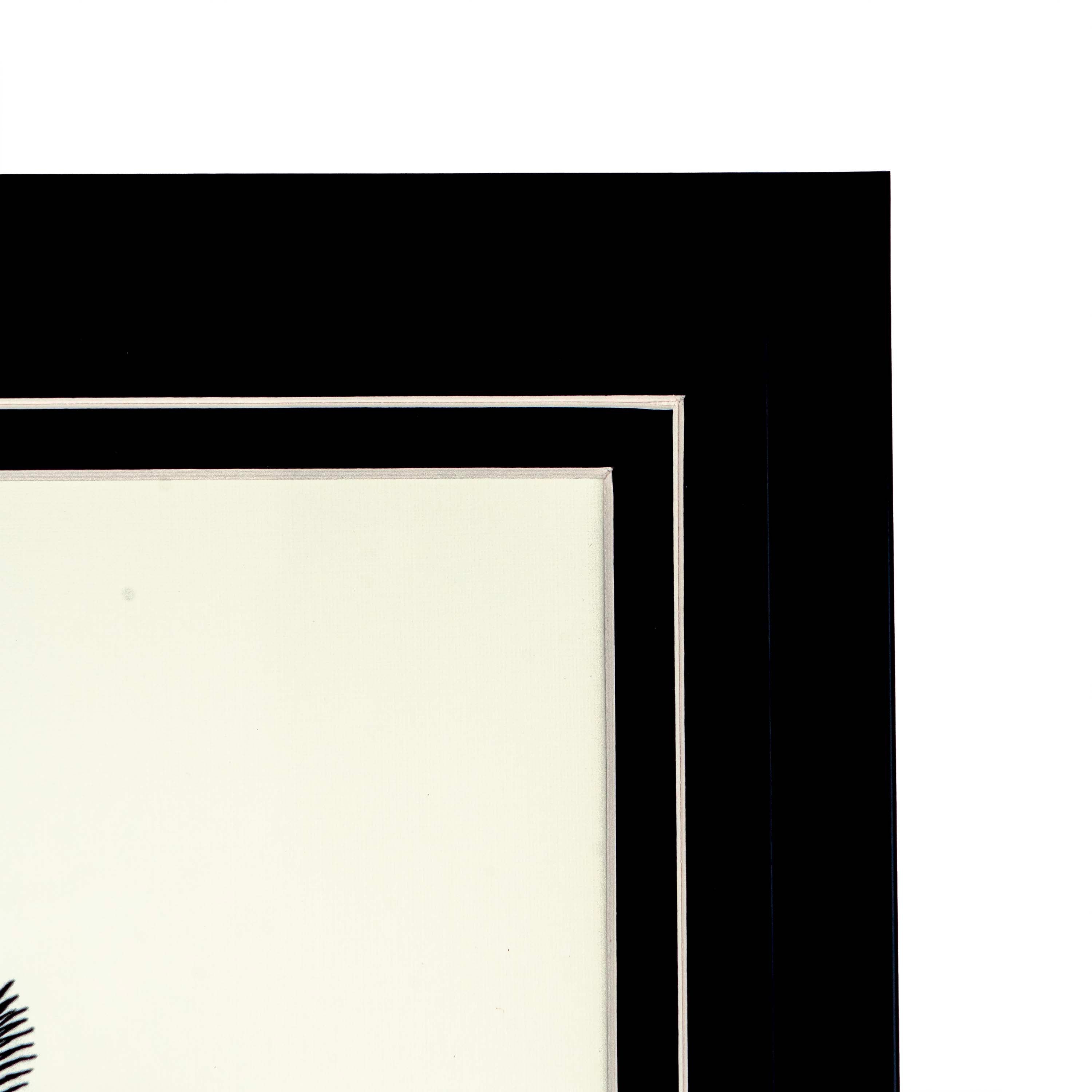 Tropical Print- Leopoldinia piassaba Frame