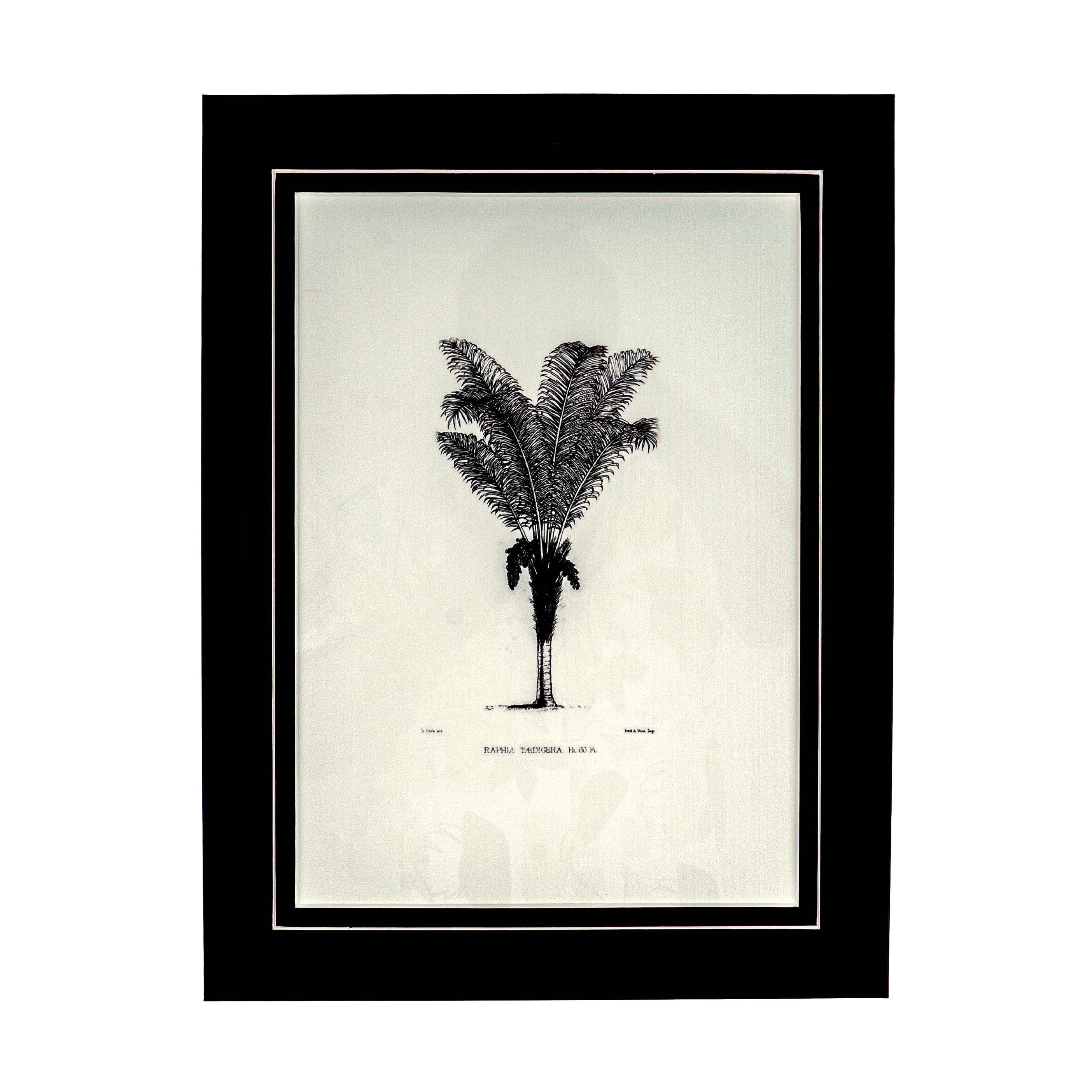 Tropical Print- Raphia Taedigera Frame