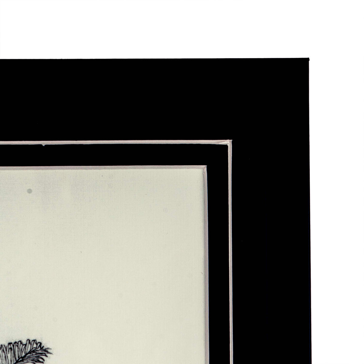 Tropical Print- Raphia Taedigera Frame