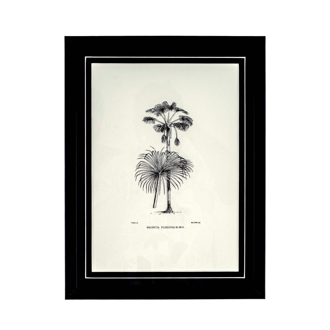 Tropical Print- Mauritia Flexuosa  Frame