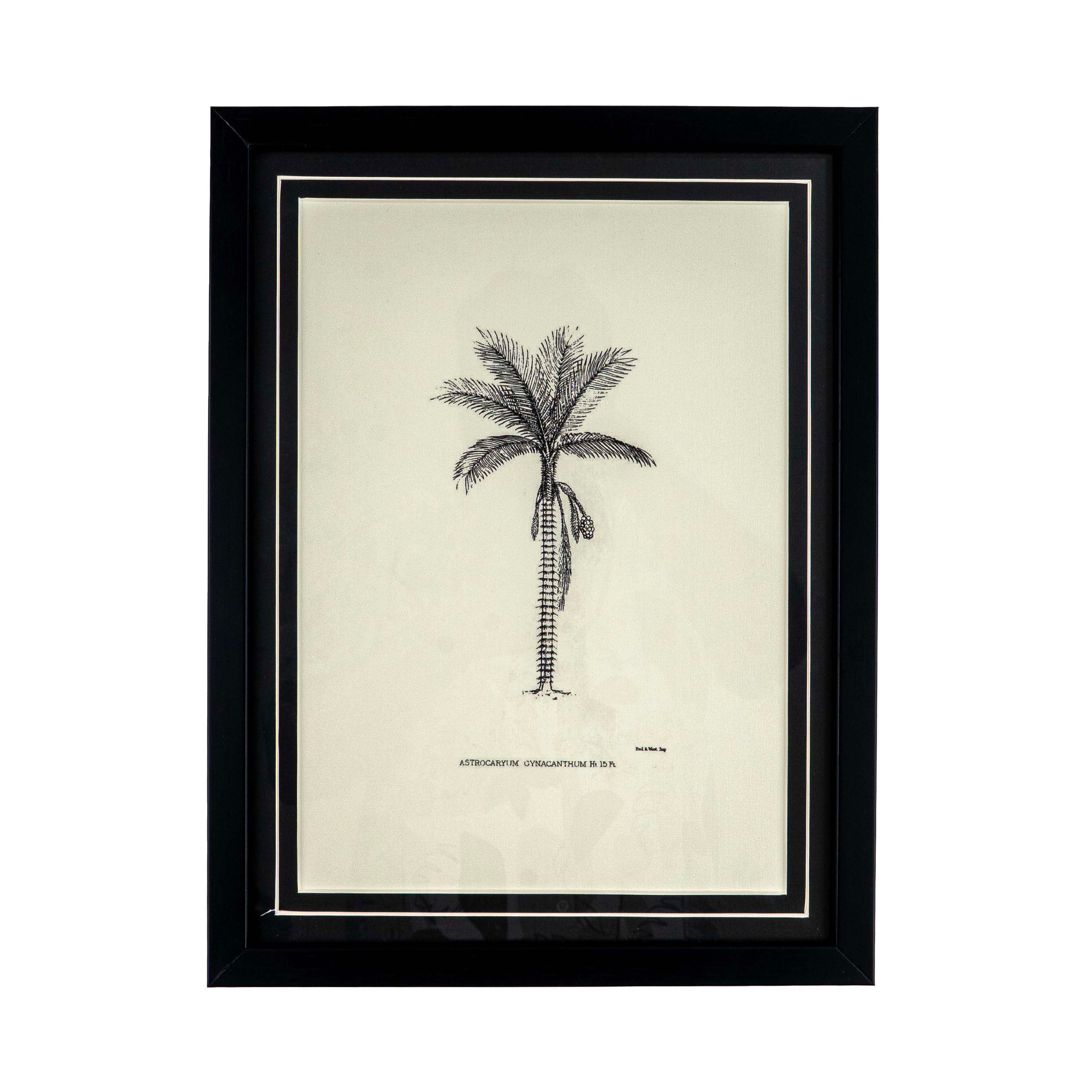 Tropical Print- Astrocaryum  Frame