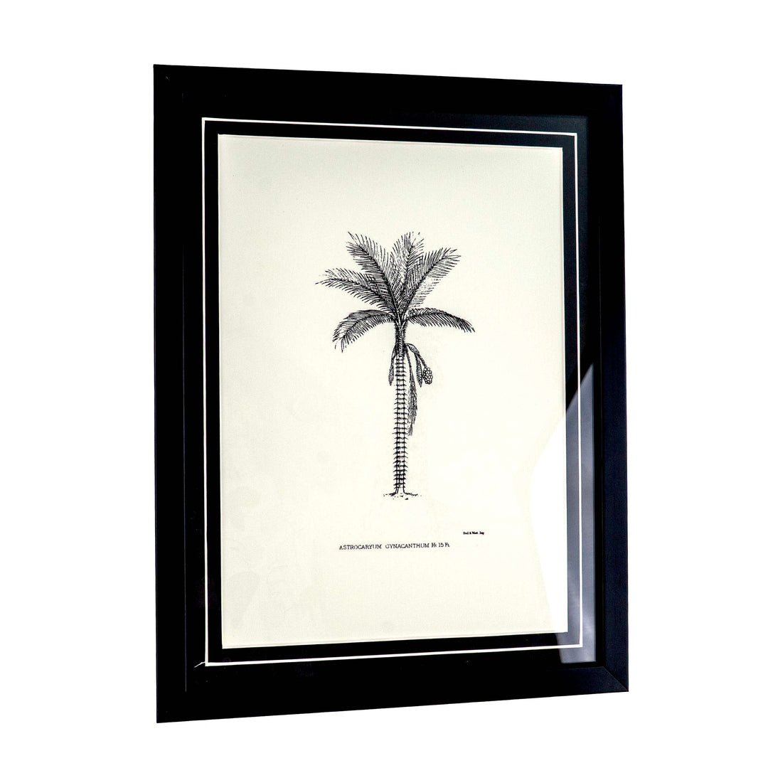 Tropical Print- Astrocaryum  Frame