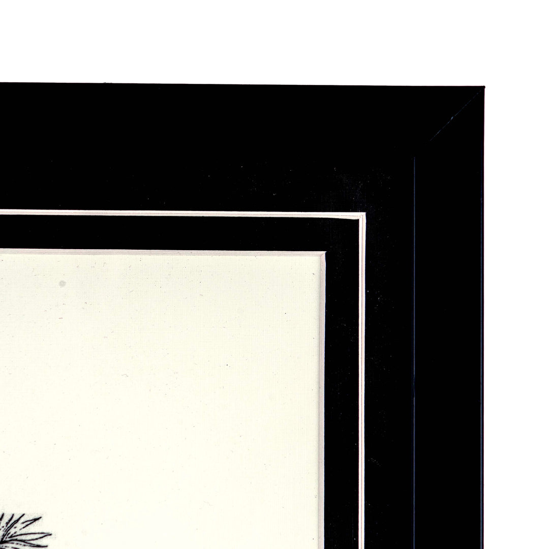 Tropical Print- Astrocaryum  Frame