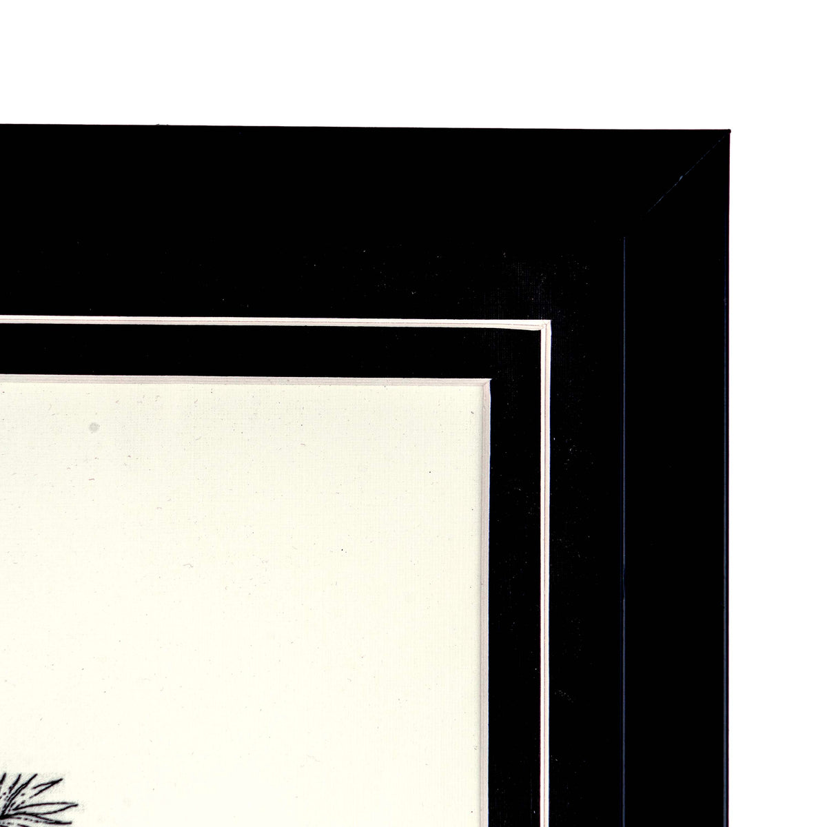 Tropical Print- Astrocaryum  Frame