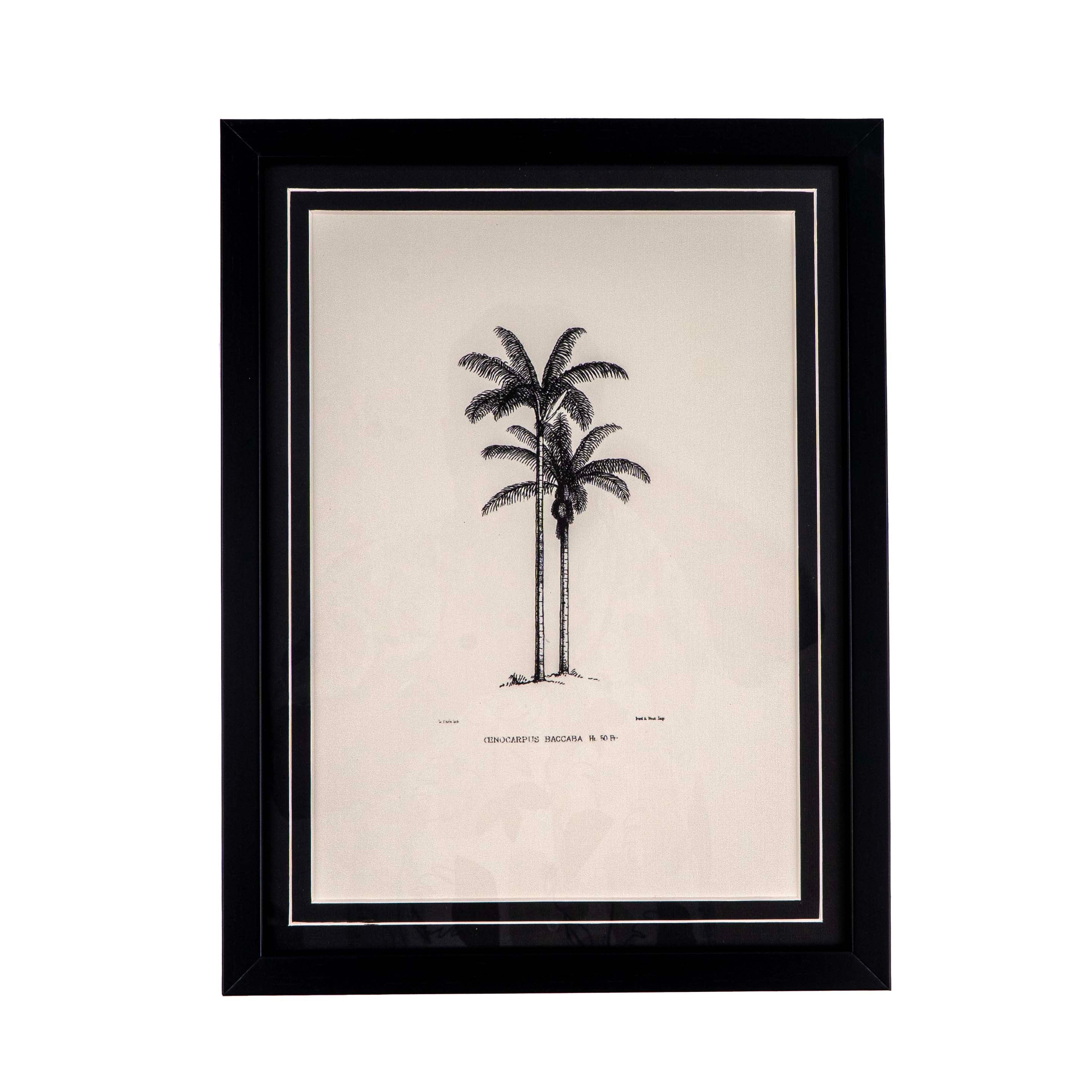 Tropical Print- Cenocarpus Baccaba Frame
