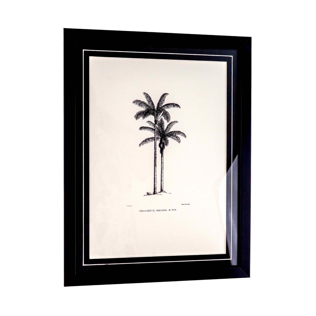 Tropical Print- Cenocarpus Baccaba Frame