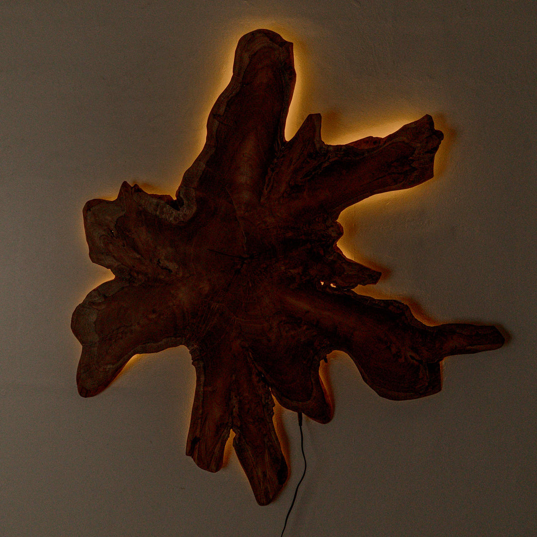 Fantis Freeform Wall Hanging