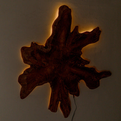 Fantis Freeform Wall Hanging