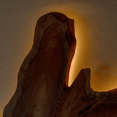 Fantis Freeform Wall Hanging