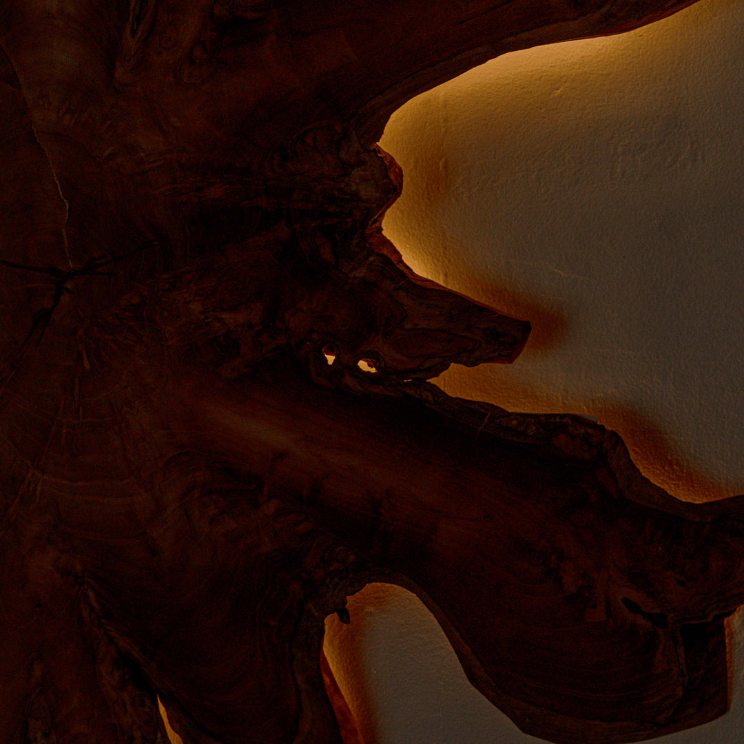 Fantis Freeform Wall Hanging