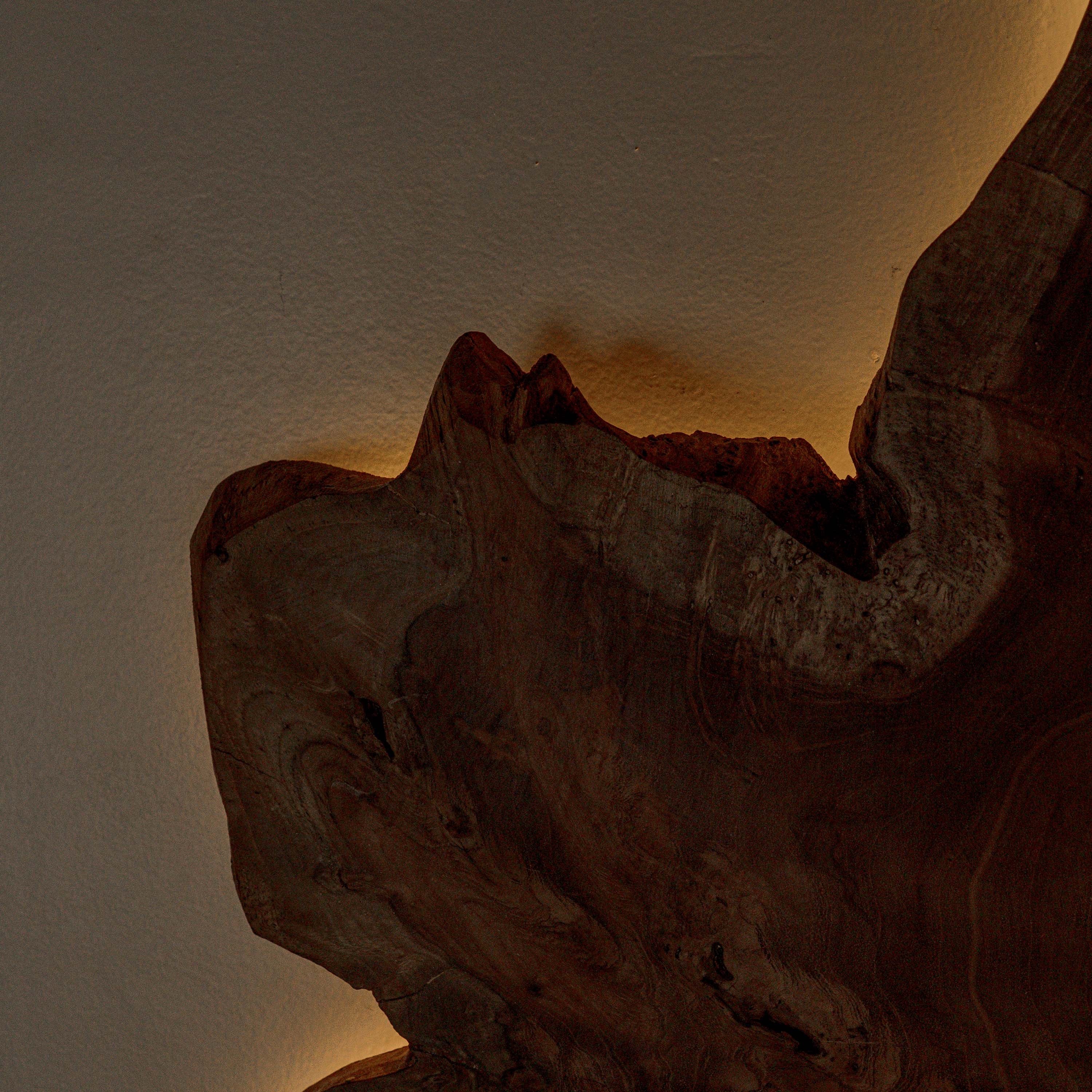 Fantis Freeform Wall Hanging