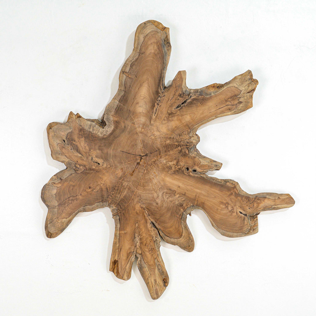 Fantis Freeform Wall Hanging