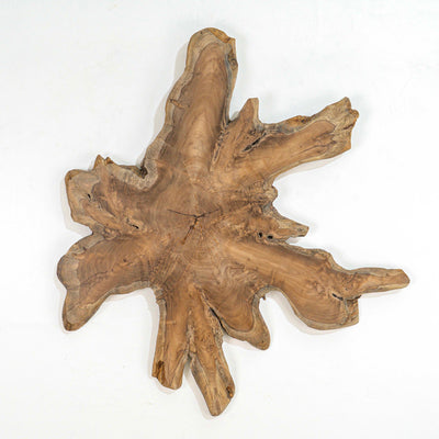 Fantis Freeform Wall Hanging