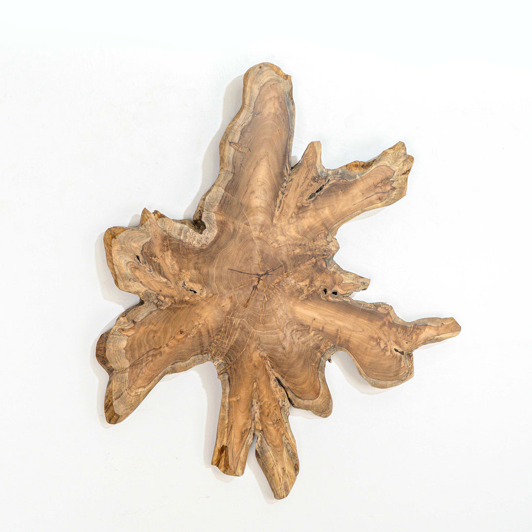 Fantis Freeform Wall Hanging