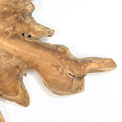 Fantis Freeform Wall Hanging
