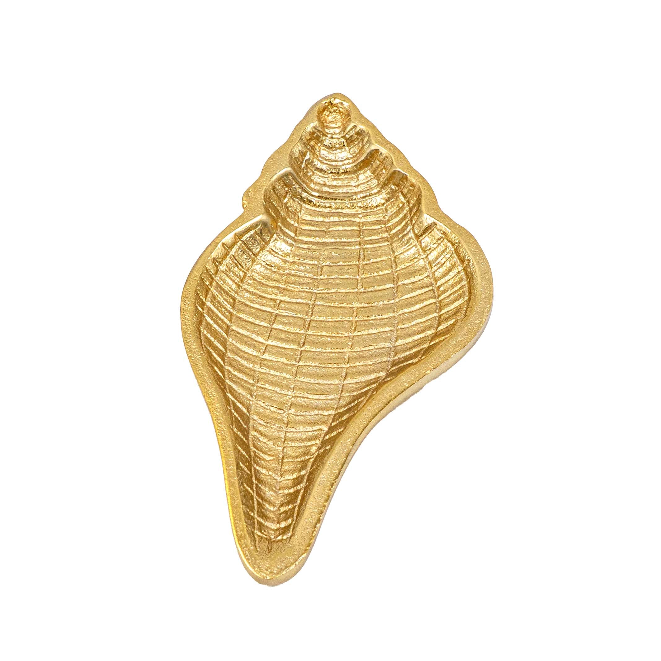 Serene Shell Decor
