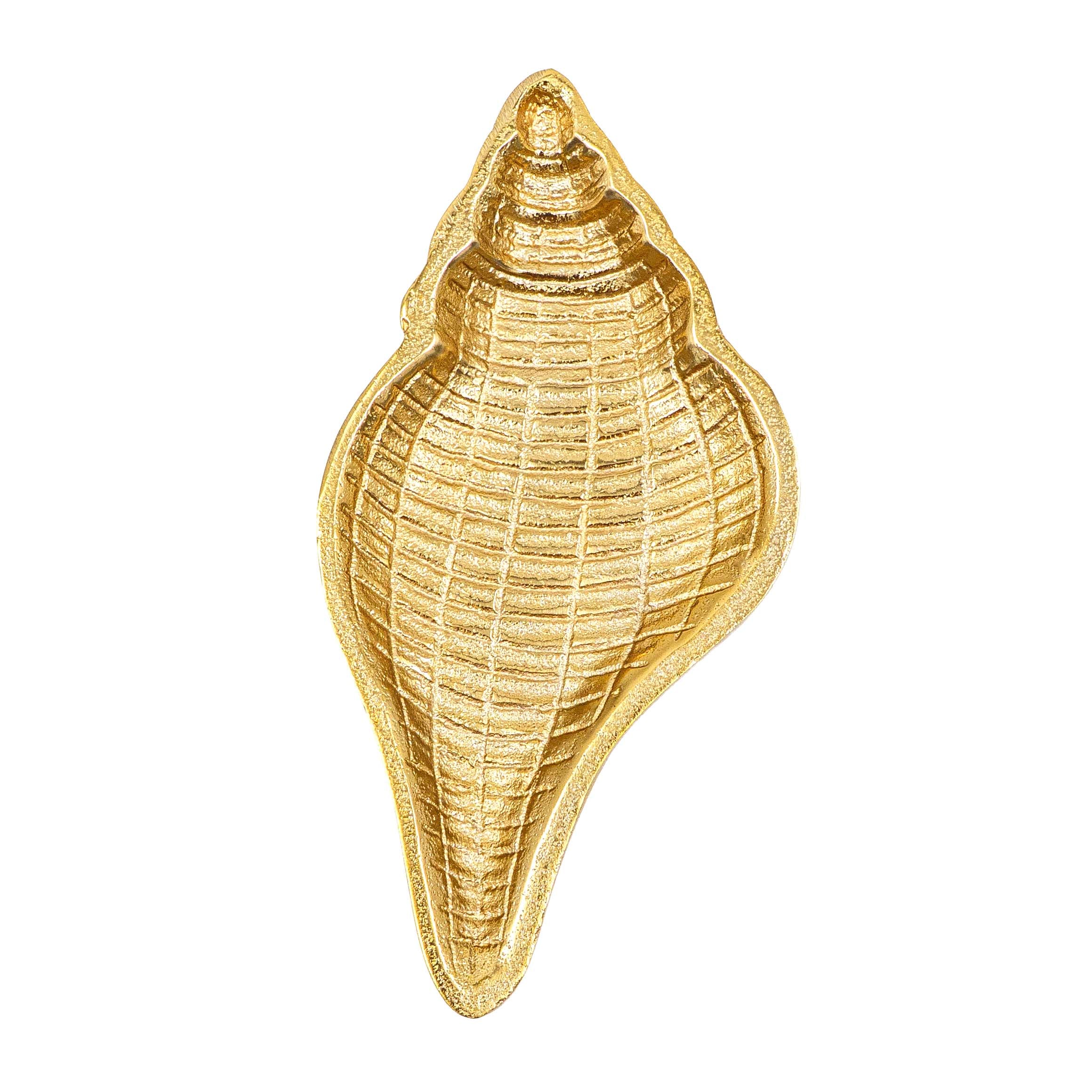 Serene Shell Decor