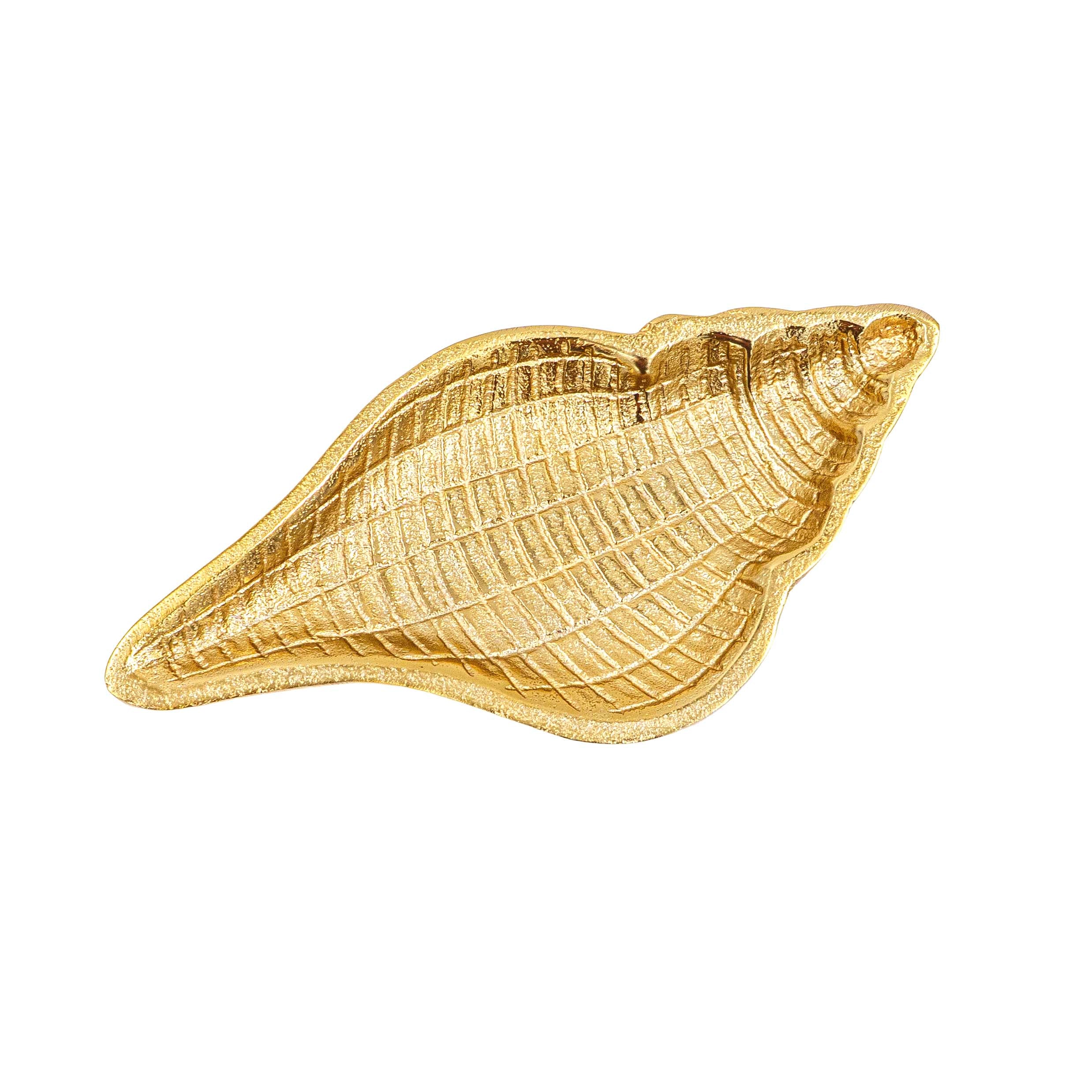 Serene Shell Decor