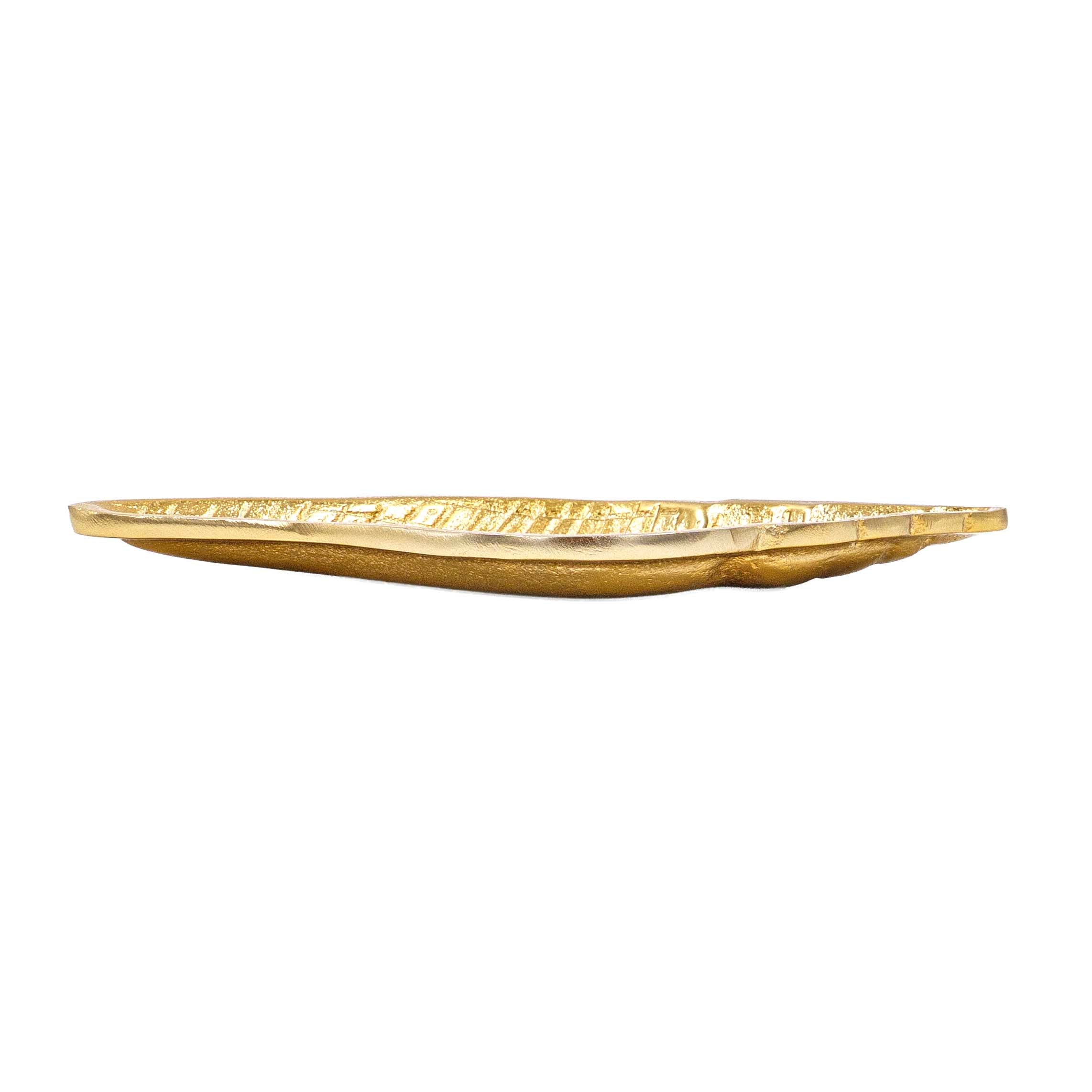 Serene Shell Decor