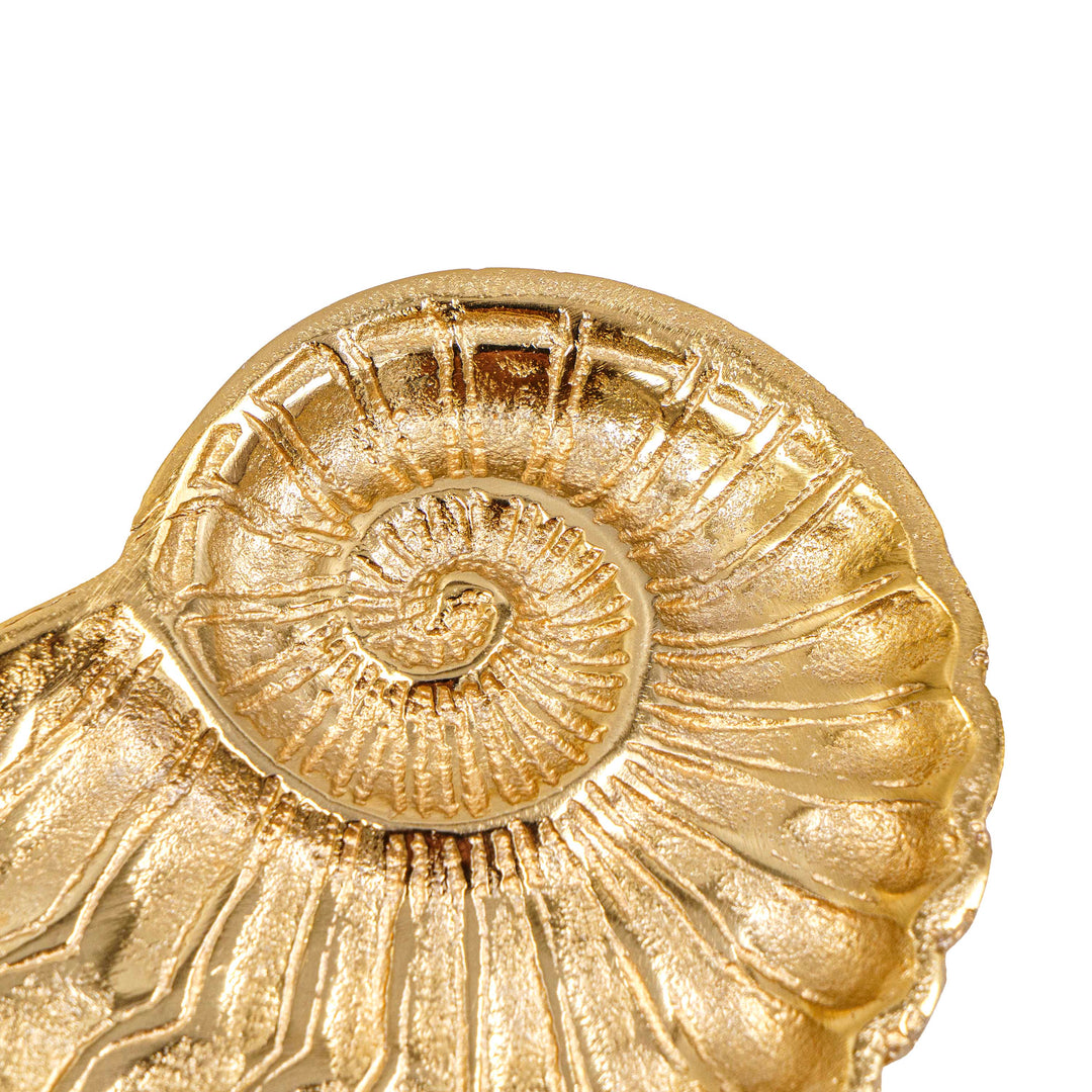 Golden Nautilus Decor