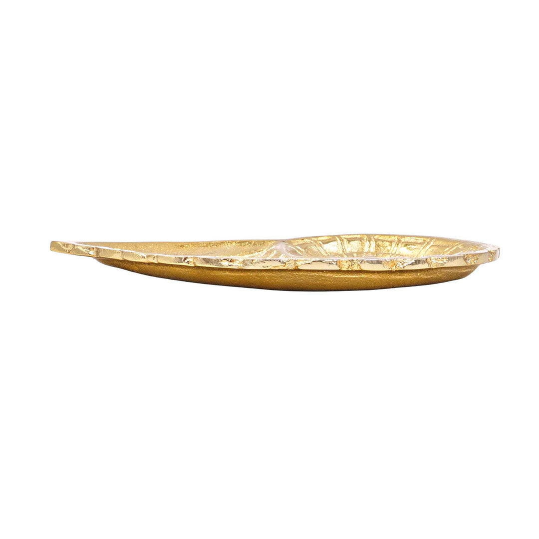 Golden Nautilus Decor