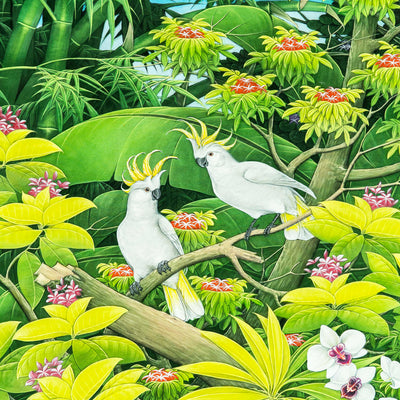 White Macaw Bird Wall Painting