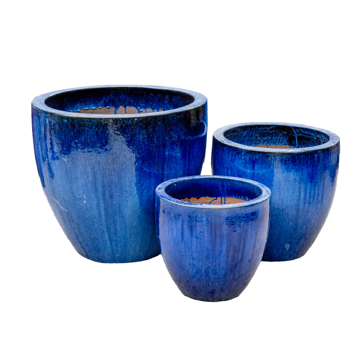 EGG PLANTER