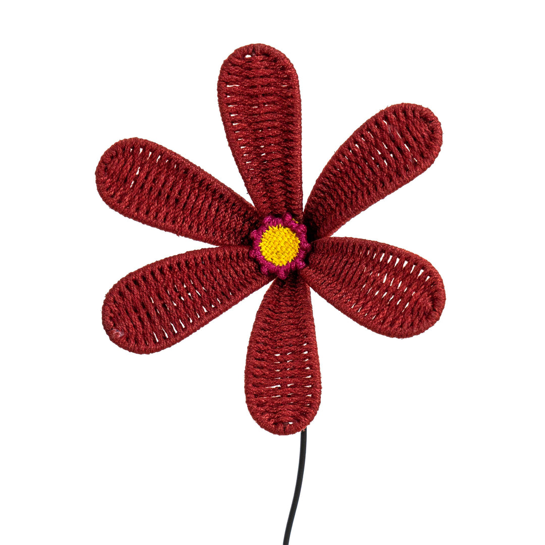 Bloom Patio Flower Classic