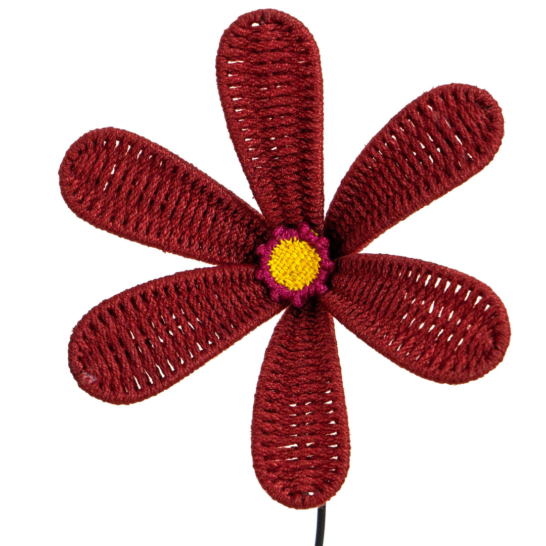 Bloom Patio Flower Classic