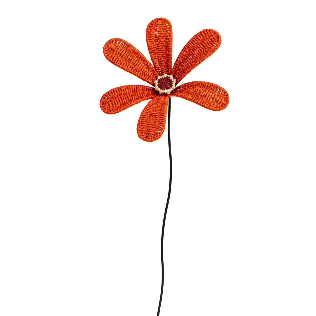 Bloom Patio Flower Classic