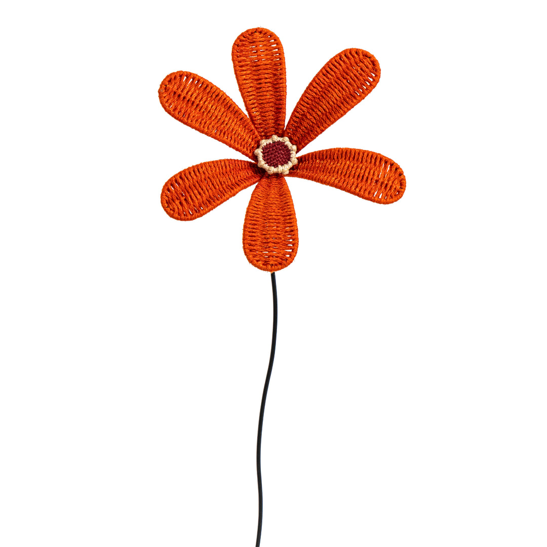 Bloom Patio Flower Classic