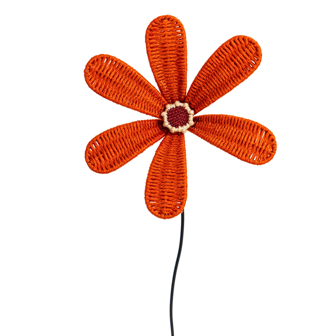 Bloom Patio Flower Classic