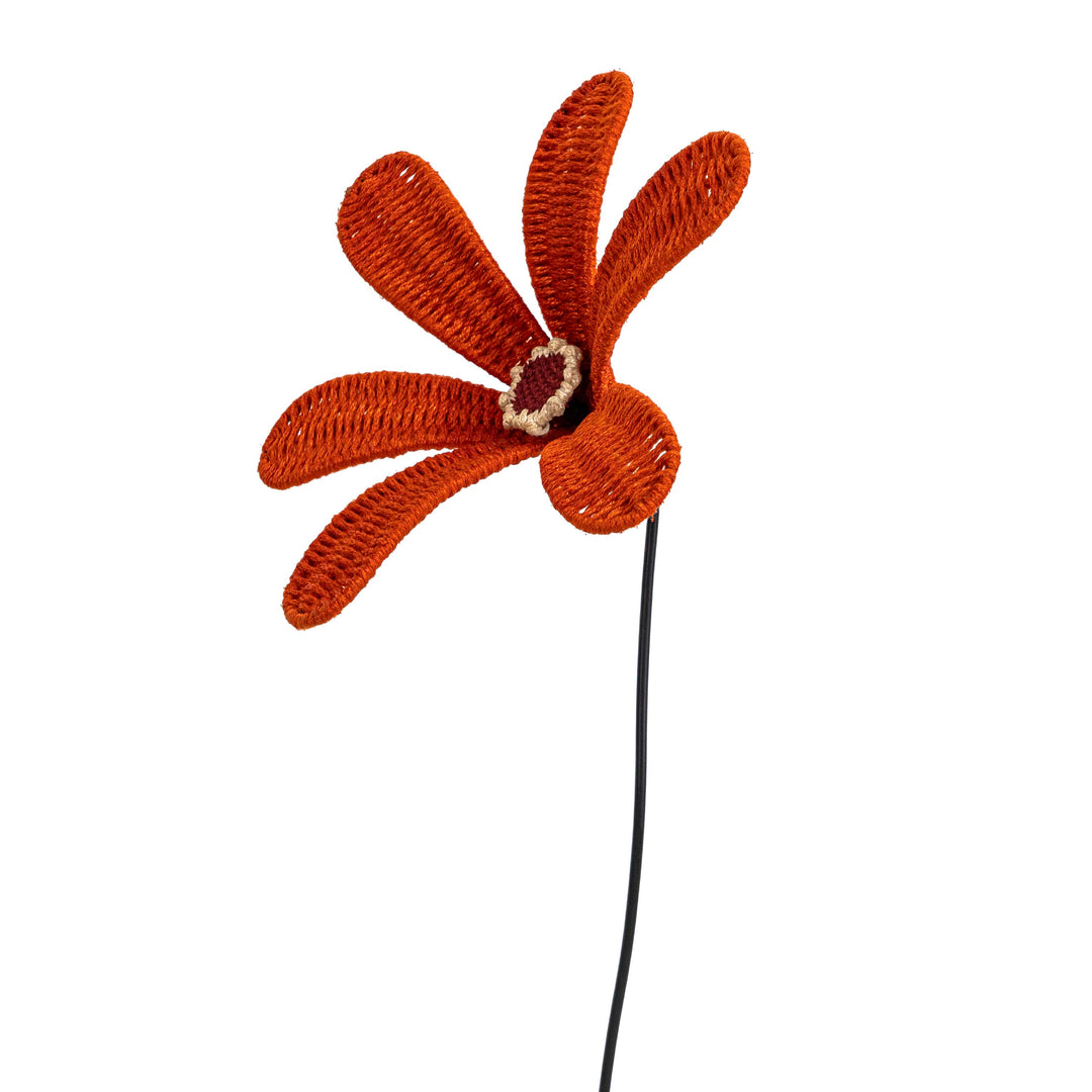 Bloom Patio Flower Classic