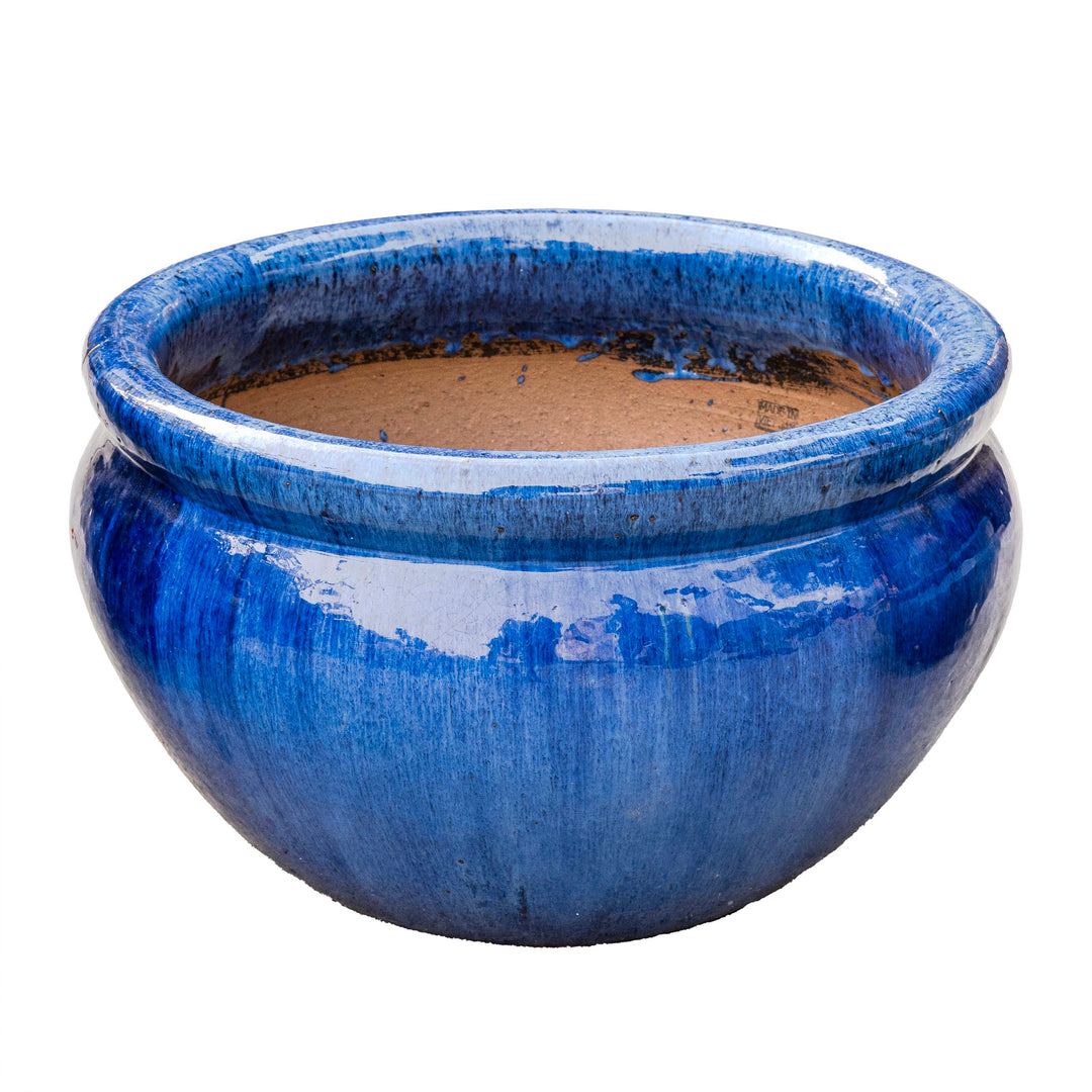 Sanskrit Planter