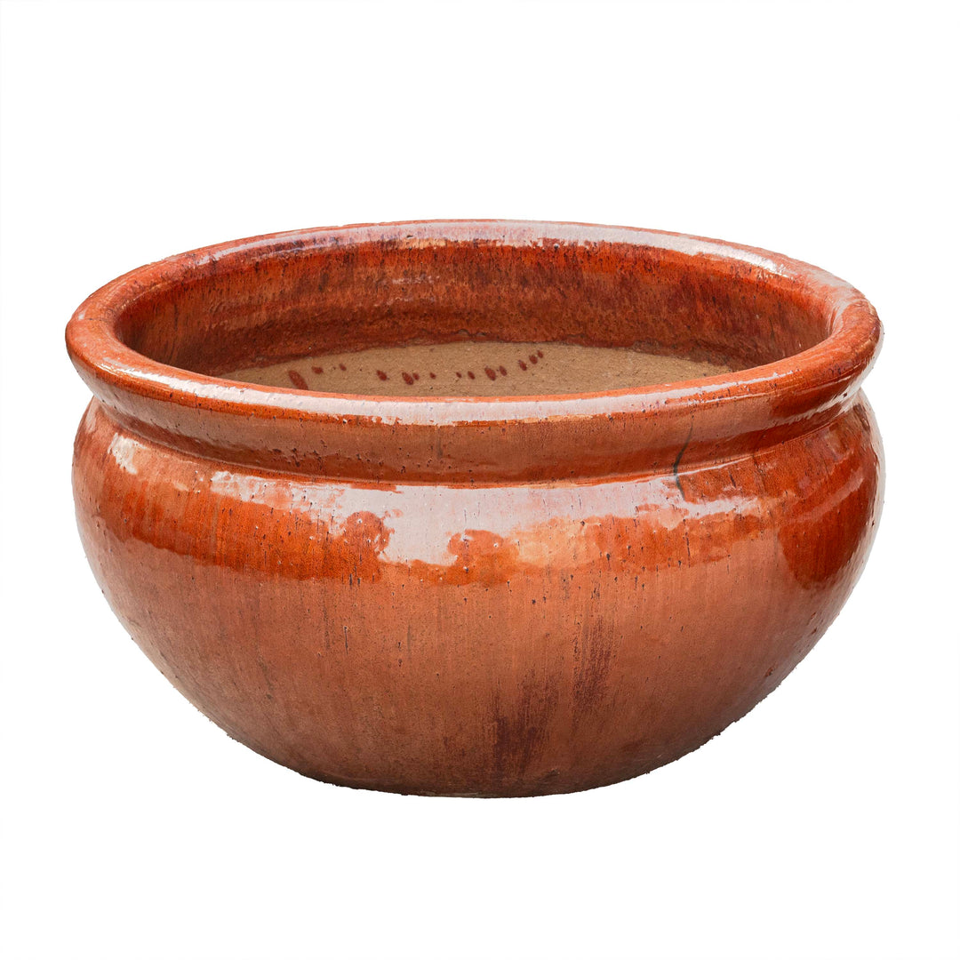 Sanskrit Planter