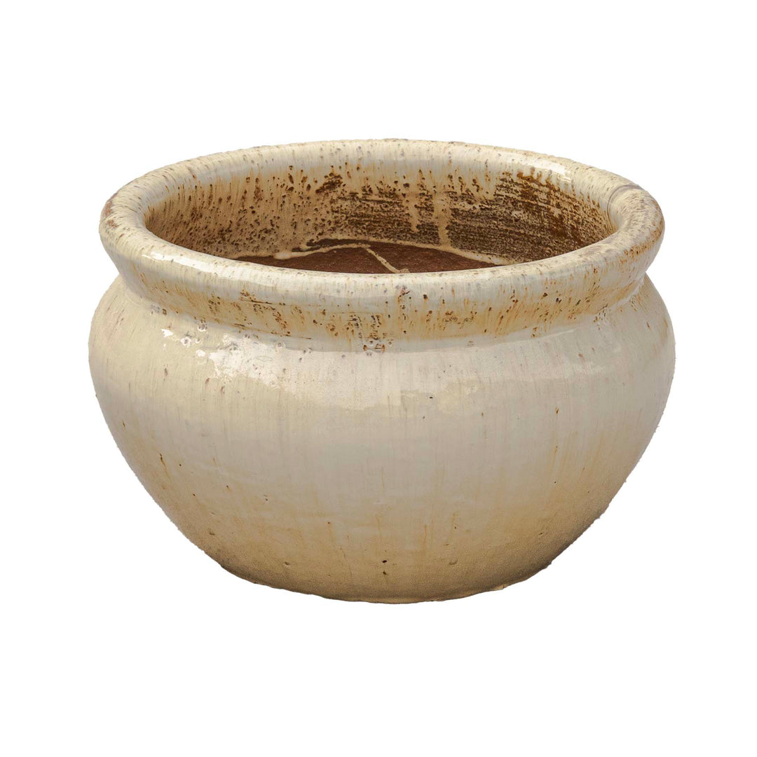 Sanskrit Planter
