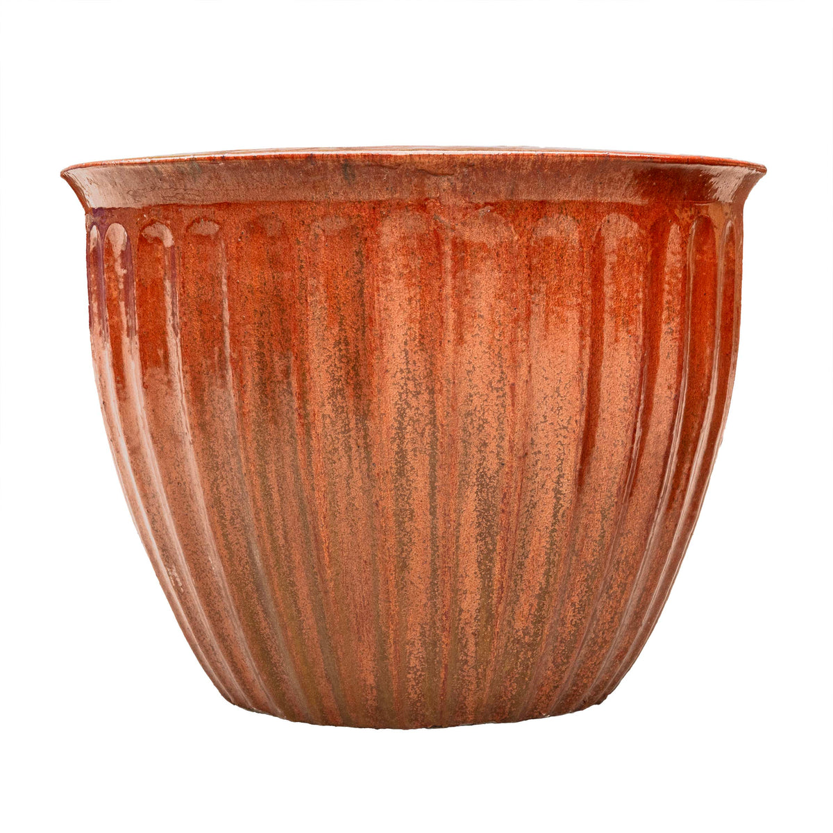 STARFRUIT PLANTER