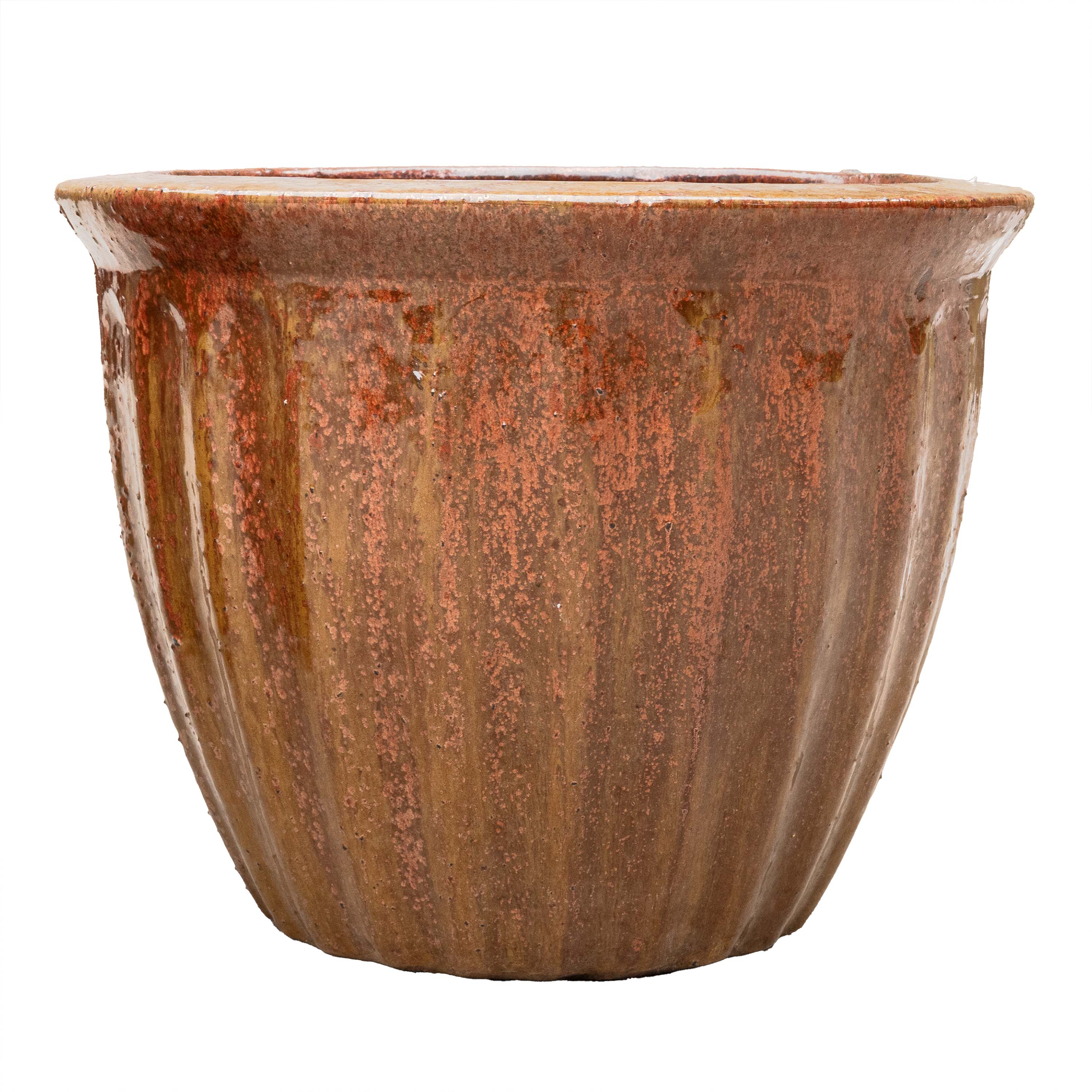 STARFRUIT PLANTER