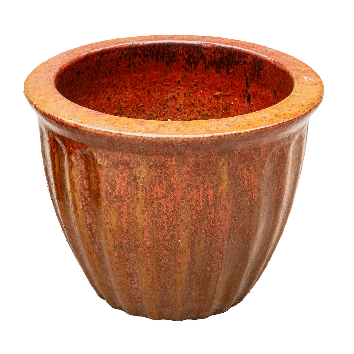 STARFRUIT PLANTER