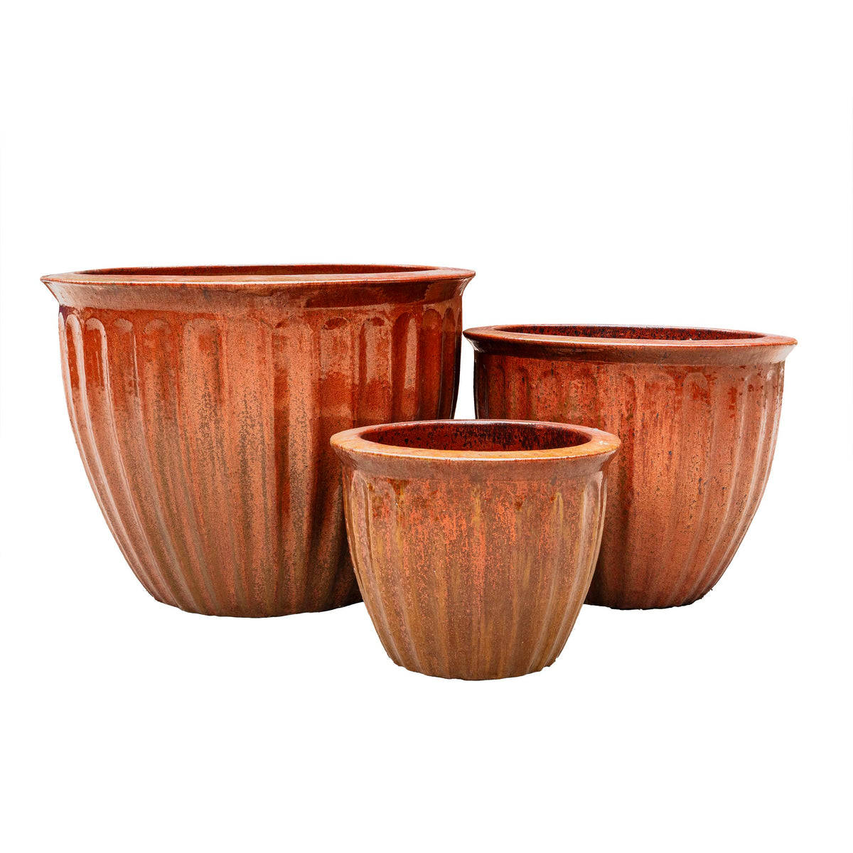 STARFRUIT PLANTER