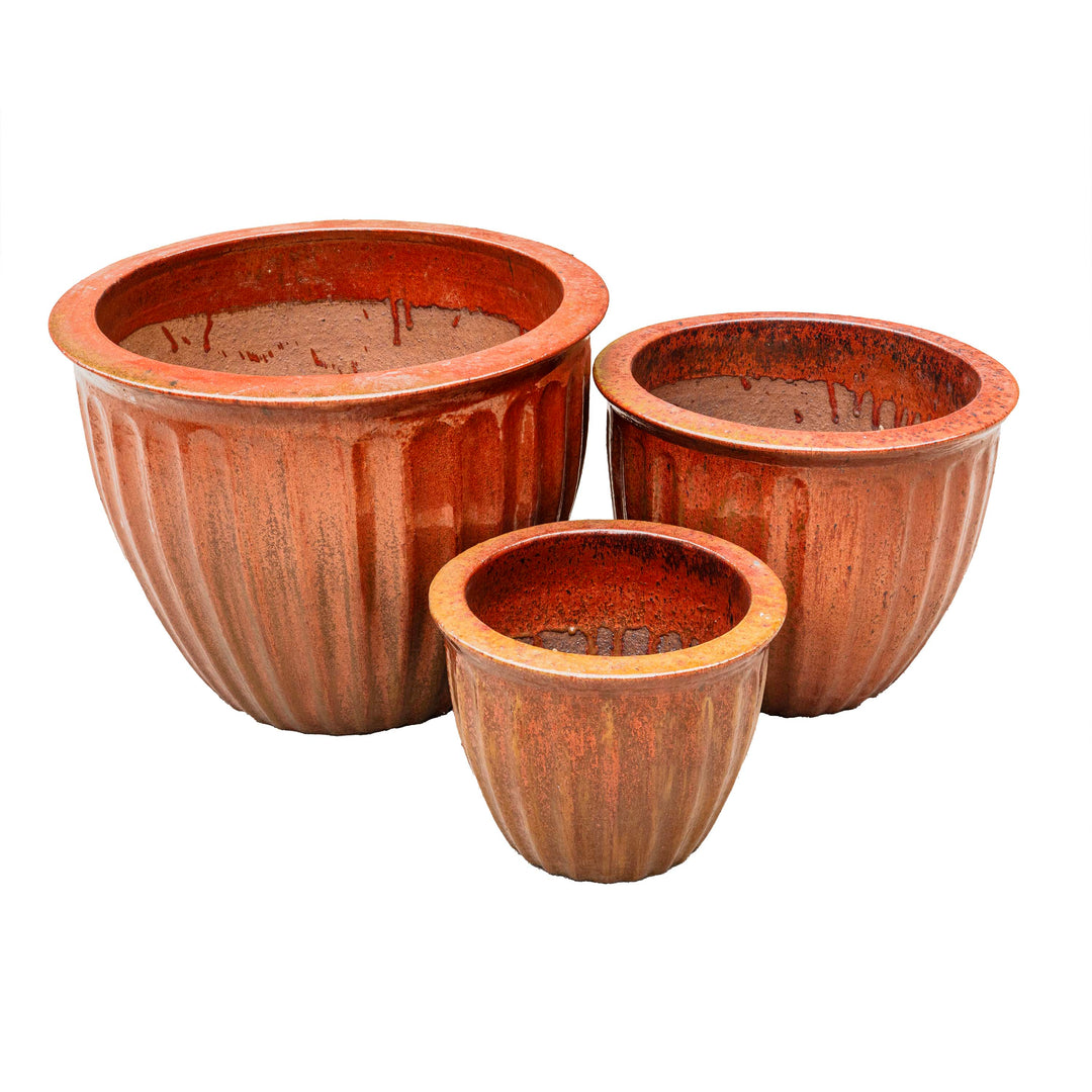 STARFRUIT PLANTER