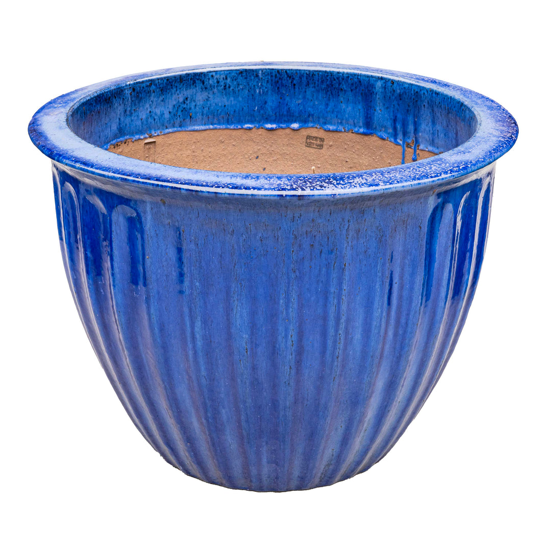 STARFRUIT PLANTER