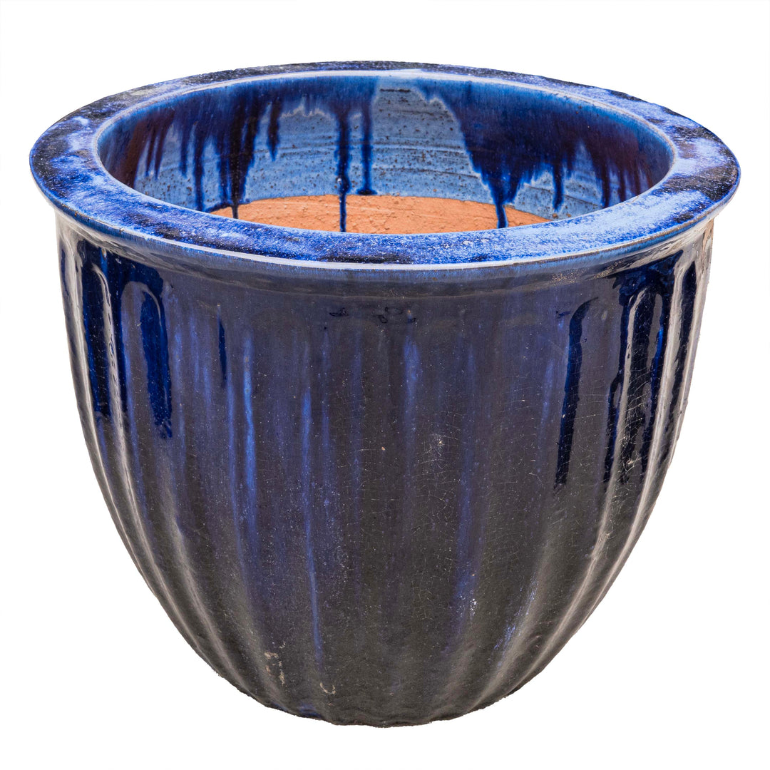 STARFRUIT PLANTER