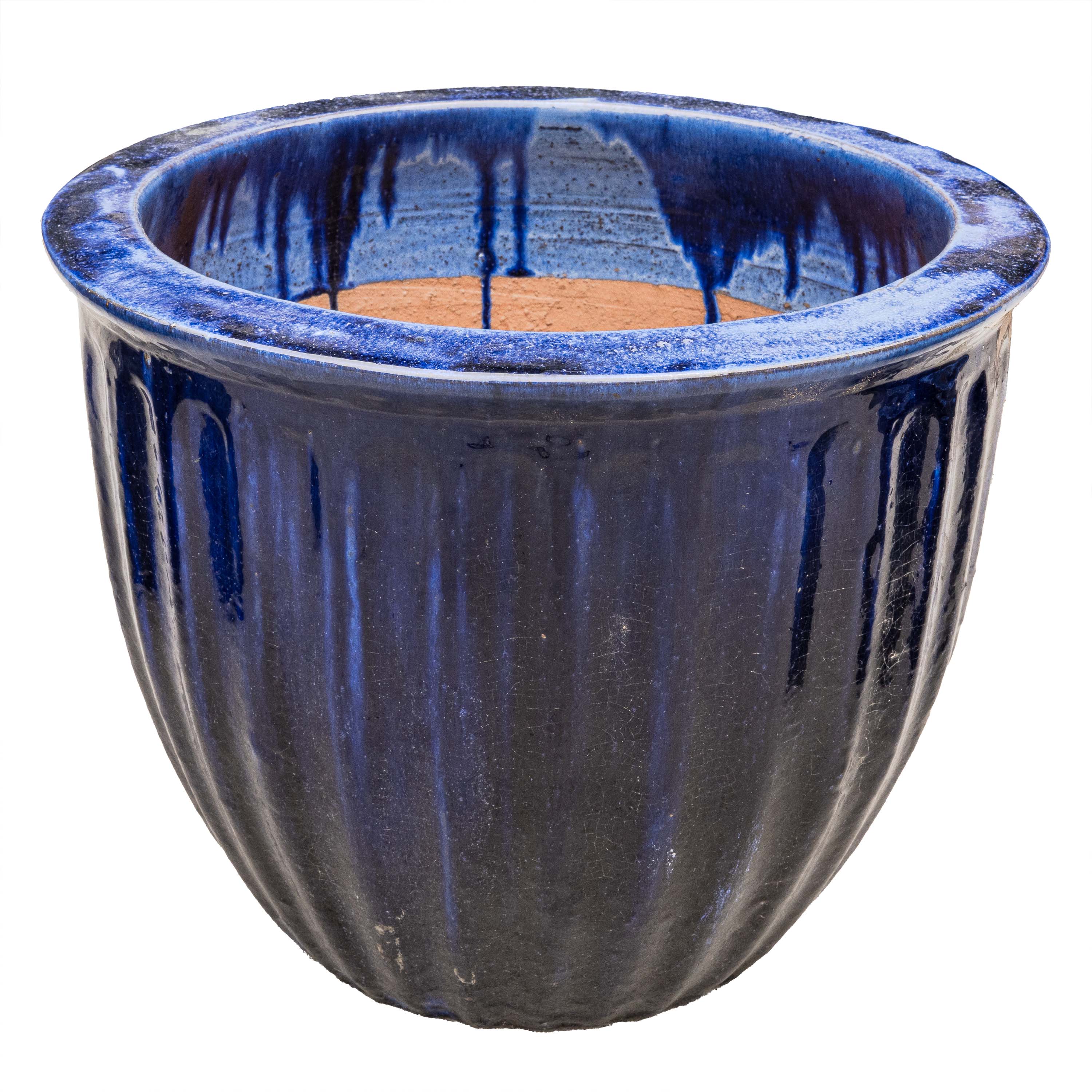STARFRUIT PLANTER