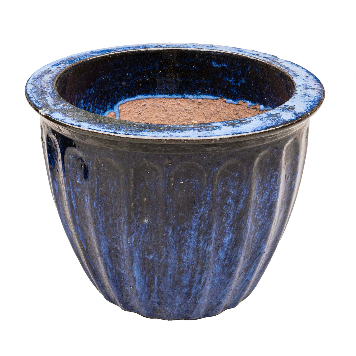 STARFRUIT PLANTER